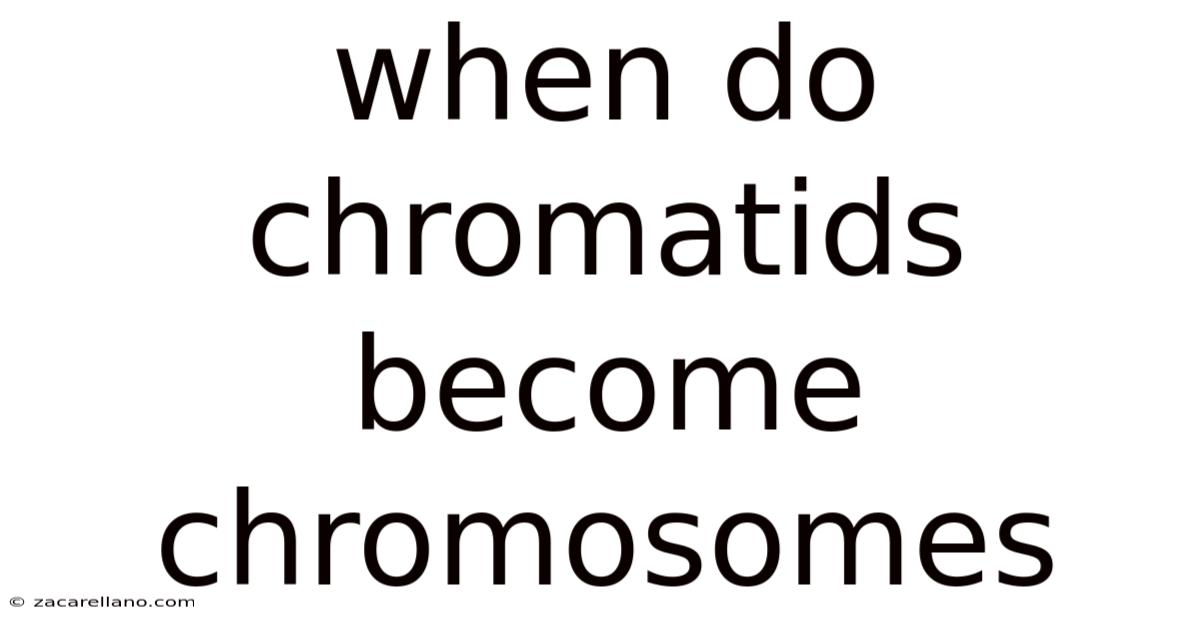 When Do Chromatids Become Chromosomes