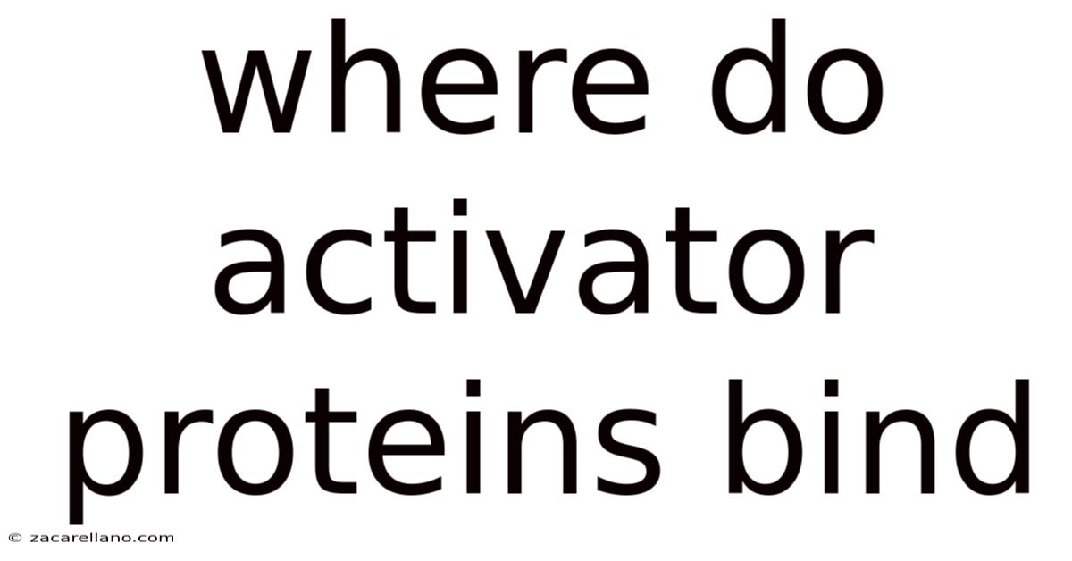 Where Do Activator Proteins Bind