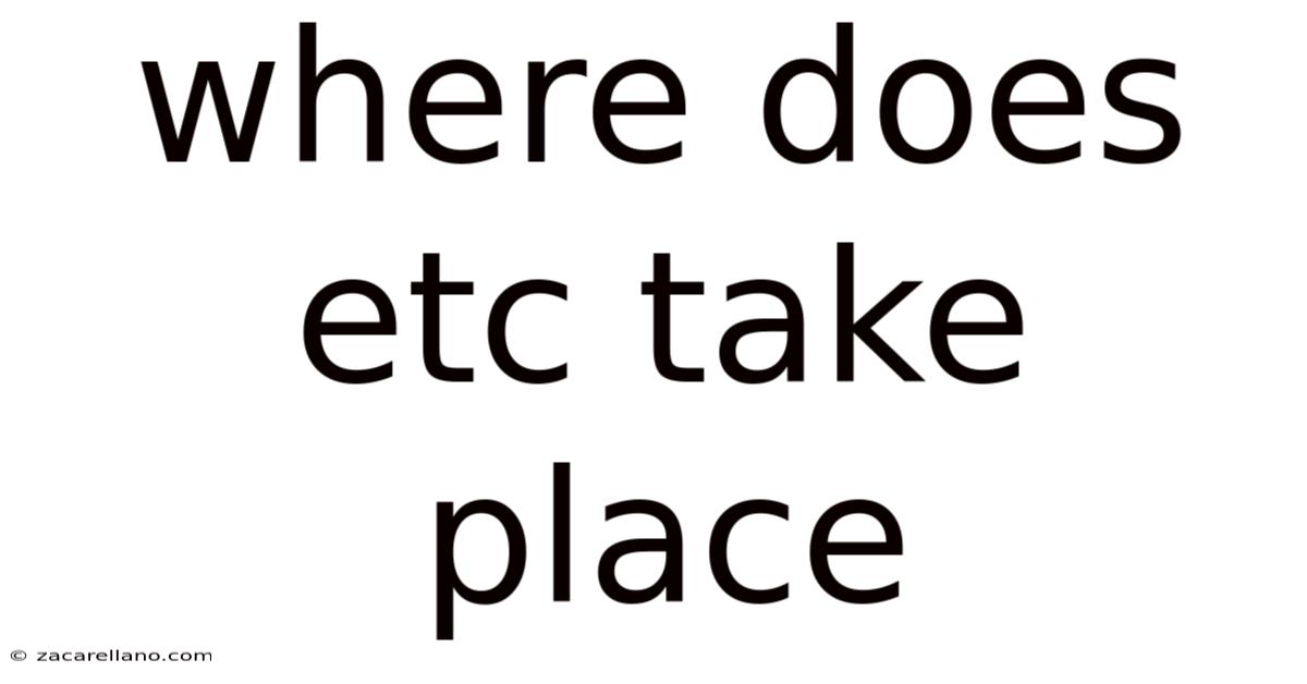 Where Does Etc Take Place