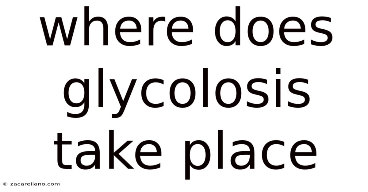 Where Does Glycolosis Take Place