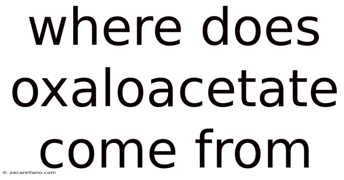 Where Does Oxaloacetate Come From