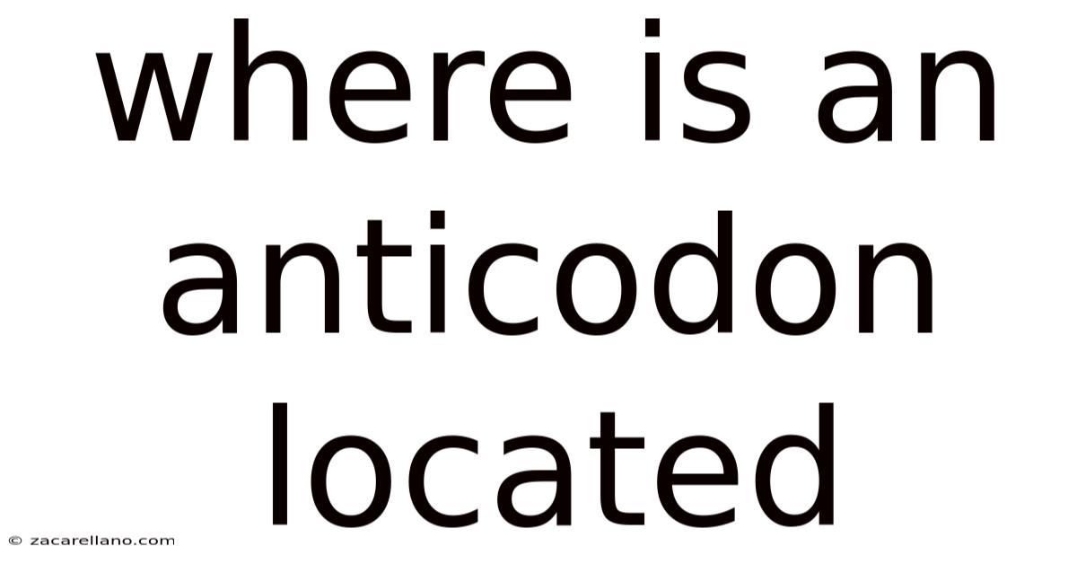 Where Is An Anticodon Located