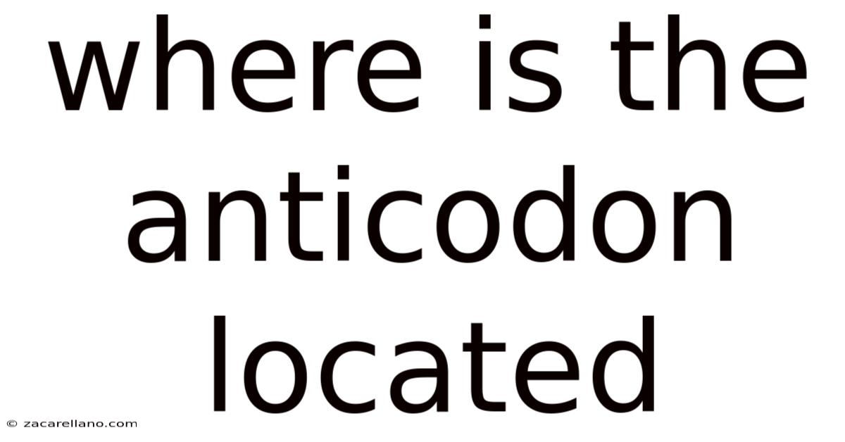 Where Is The Anticodon Located