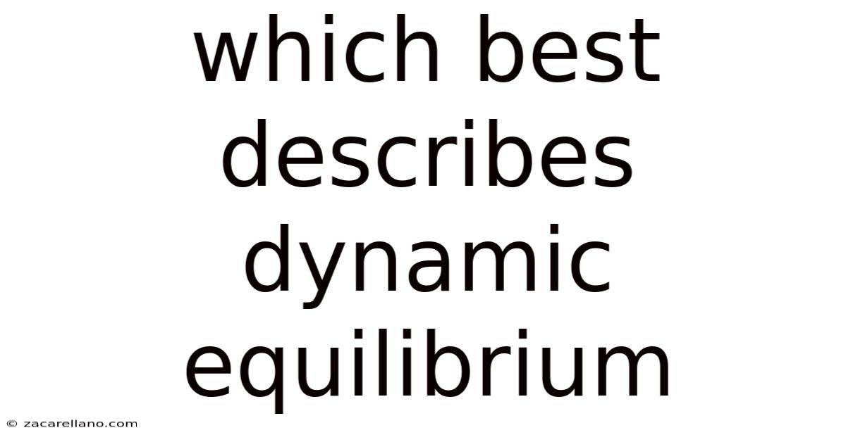 Which Best Describes Dynamic Equilibrium