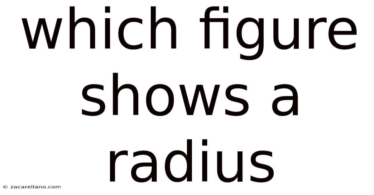 Which Figure Shows A Radius