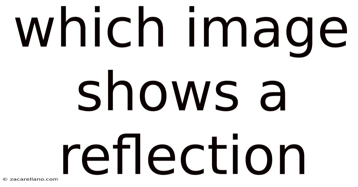 Which Image Shows A Reflection