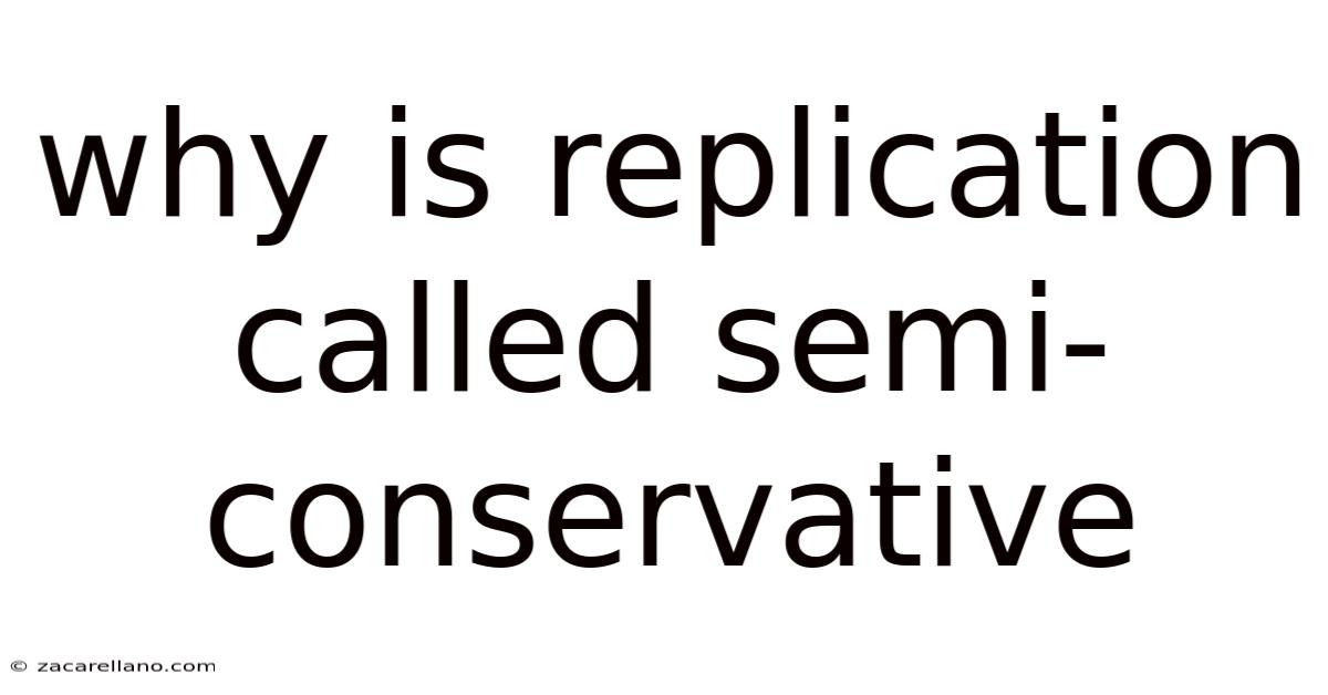 Why Is Replication Called Semi-conservative