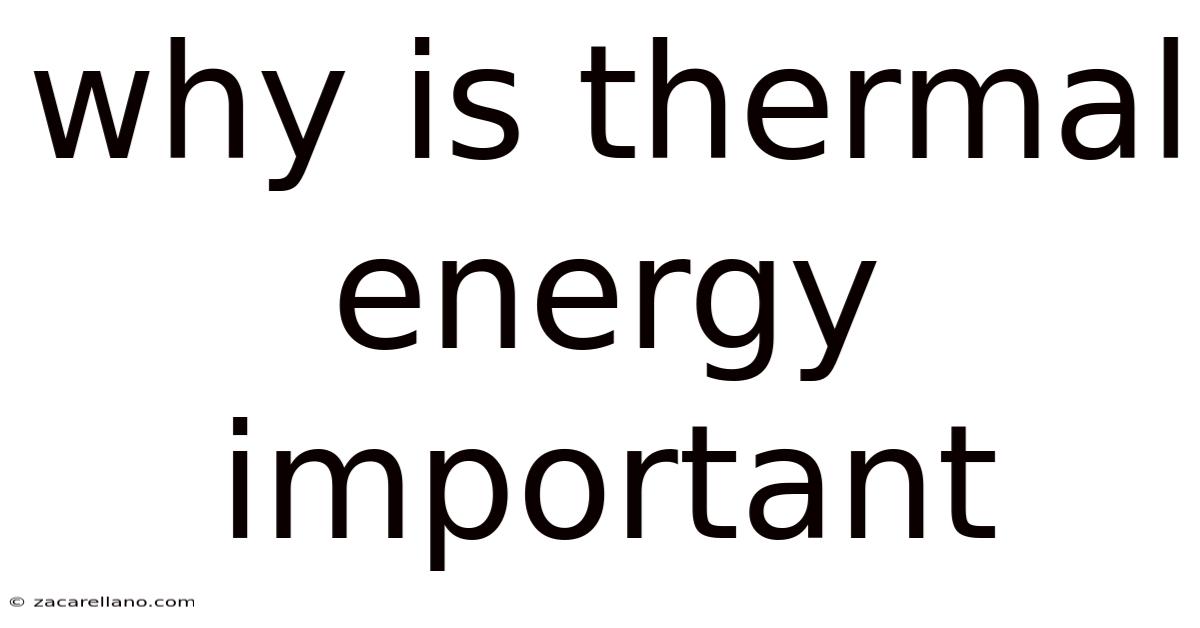 Why Is Thermal Energy Important