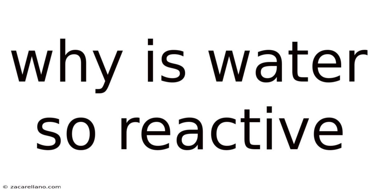 Why Is Water So Reactive