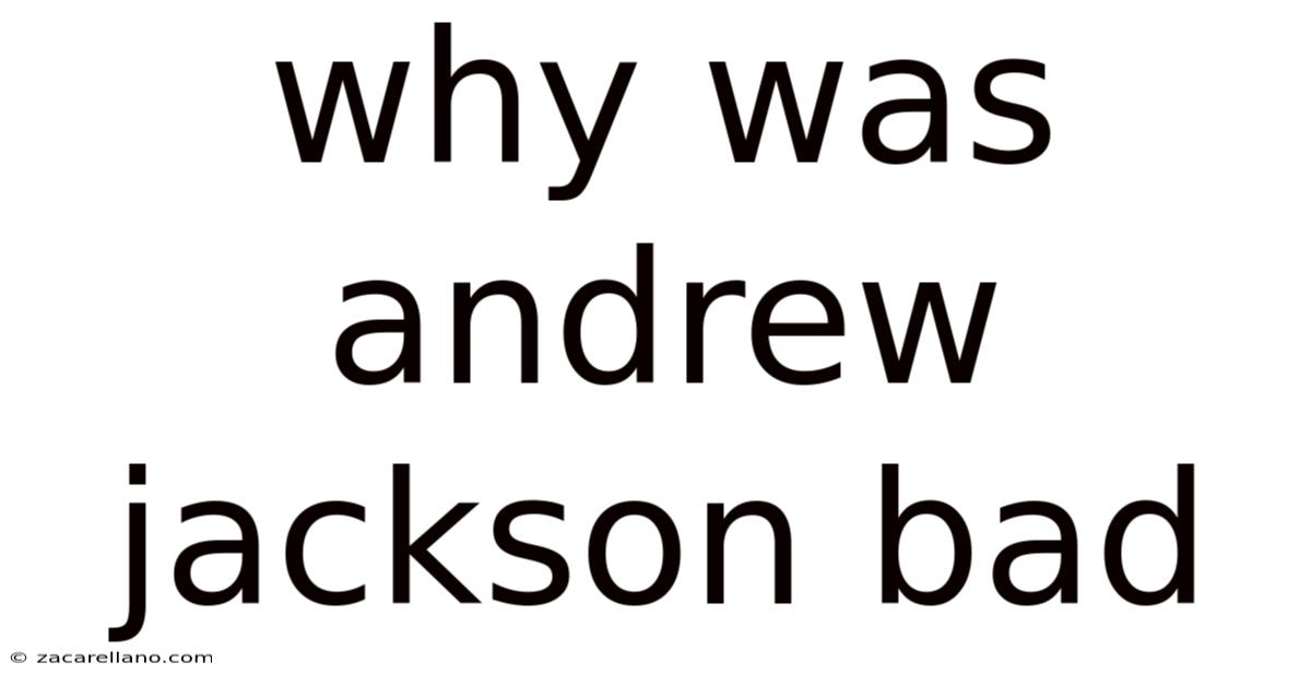 Why Was Andrew Jackson Bad